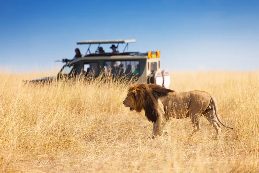 Experience the true spirit of the Serengeti